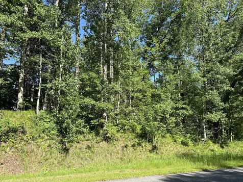 Lot 8 Terminal Road Breezy Point MN 56472