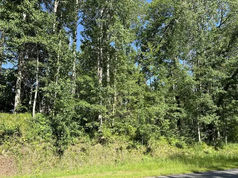 Lot 8 Terminal Road Breezy Point MN 56472