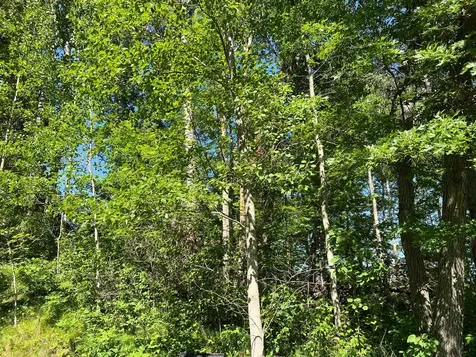 Lot 8 Terminal Road Breezy Point MN 56472