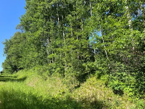 Lot 8 Terminal Road Breezy Point MN 56472