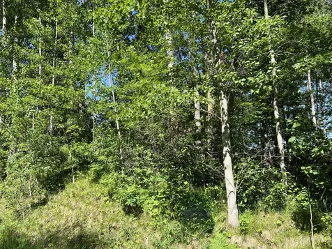 Lot 8 Terminal Road Breezy Point MN 56472
