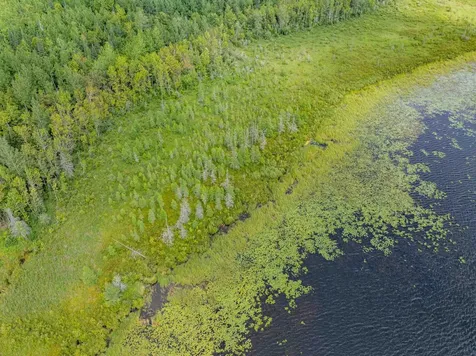 67488 Busties Lake Access Effie MN 56639