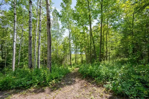 67488 Busties Lake Access Effie MN 56639