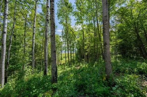 67488 Busties Lake Access Effie MN 56639