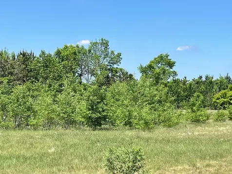Tbd Turtle Creek Circle Cold Spring MN 56320