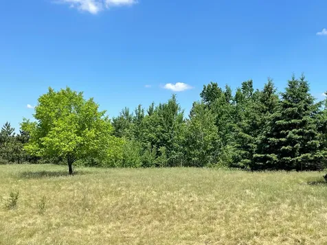 Tbd Turtle Creek Circle Cold Spring MN 56320