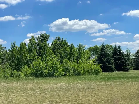 Tbd Turtle Creek Circle Cold Spring MN 56320