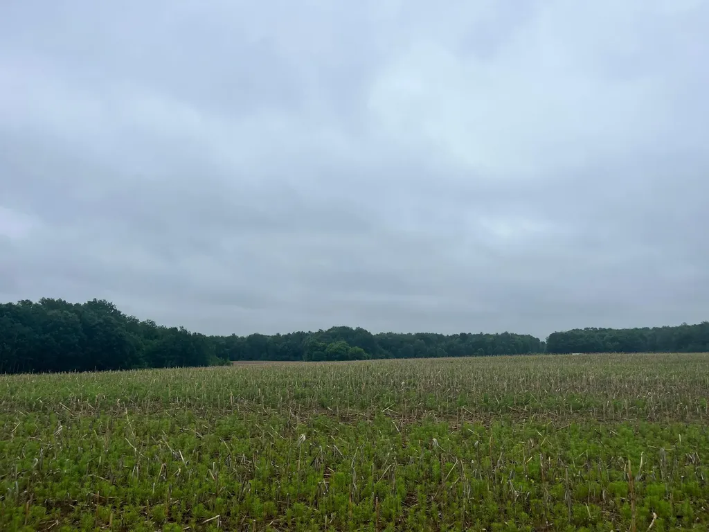 Tbd (Lot 1) Hemingway Avenue North Branch MN 55056