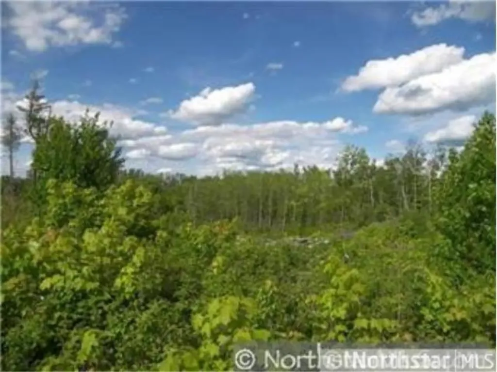 X X Two Harbors MN 55616