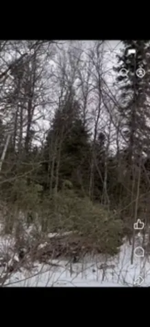X X Two Harbors MN 55616