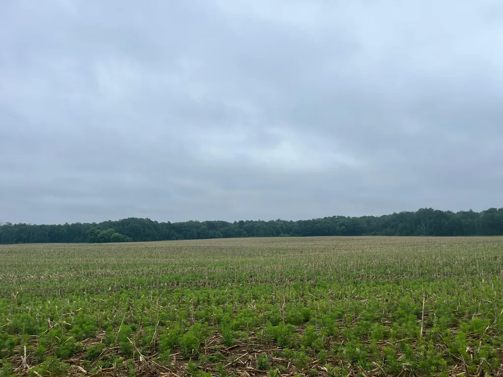 Tbd (Lot 2) Hemingway Avenue North Branch MN 55056
