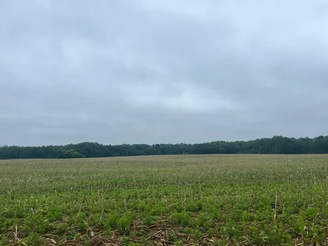 Tbd (Lot 2) Hemingway Avenue North Branch MN 55056