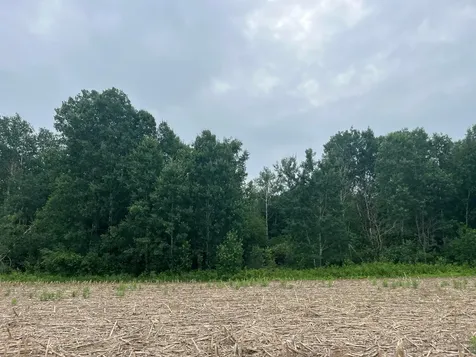 Tbd (Lot 2) Hemingway Avenue North Branch MN 55056