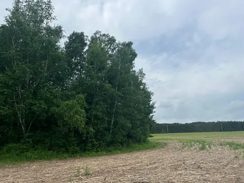 Tbd (Lot 2) Hemingway Avenue North Branch MN 55056