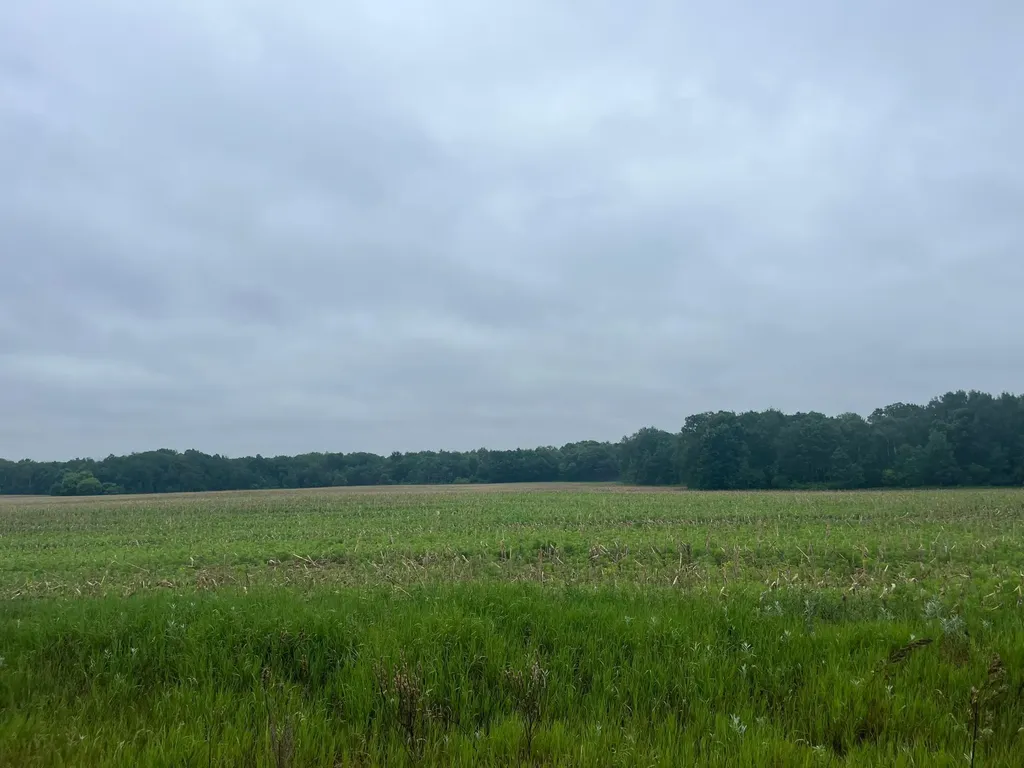 Tbd (Lot 3) Hemingway Avenue North Branch MN 55056