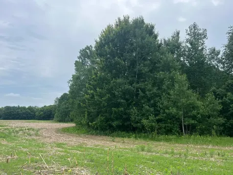 Tbd (Lot 3) Hemingway Avenue North Branch MN 55056