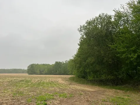 Tbd (Lot 4) Hemingway Avenue North Branch MN 55056