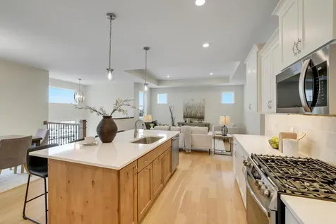 1225 136th Street E Rosemount MN 55068