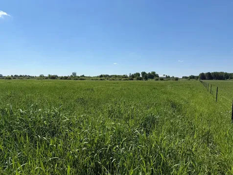 16698 130th Street Foreston MN 56330