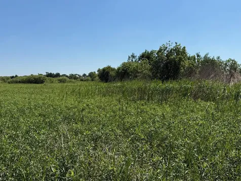 16698 130th Street Foreston MN 56330