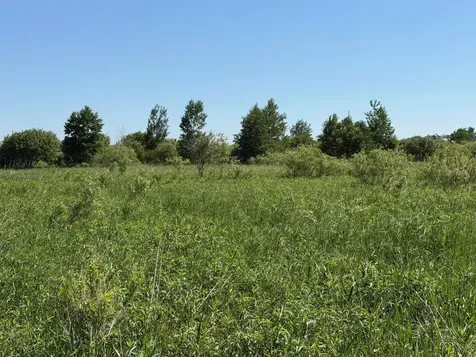 16698 130th Street Foreston MN 56330