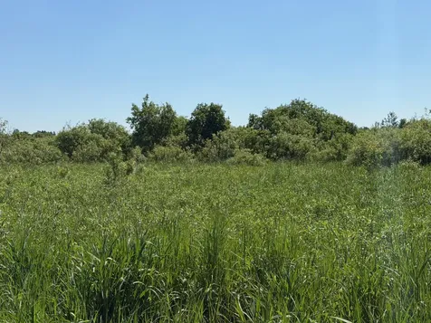 16698 130th Street Foreston MN 56330