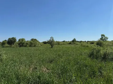 16698 130th Street Foreston MN 56330