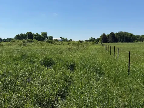 16698 130th Street Foreston MN 56330