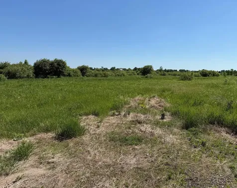 16698 130th Street Foreston MN 56330