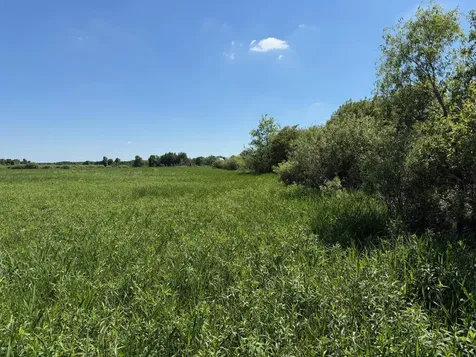 16698 130th Street Foreston MN 56330