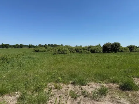16698 130th Street Foreston MN 56330