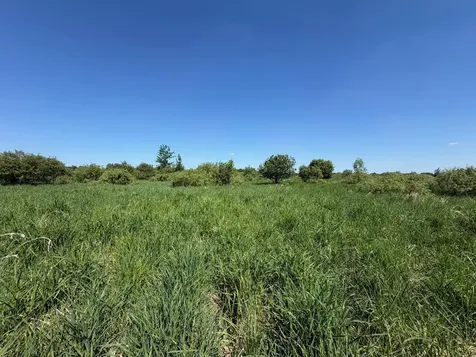 16698 130th Street Foreston MN 56330