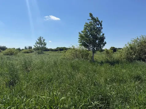 16698 130th Street Foreston MN 56330
