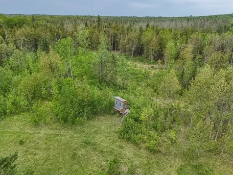53399 Rainbow Road Deer River MN 56636