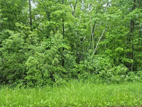 Tbd Willow Drive Garrison MN 56450