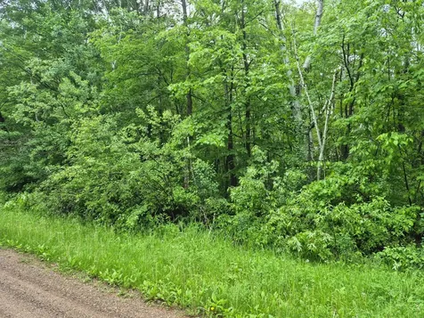 Tbd Willow Drive Garrison MN 56450