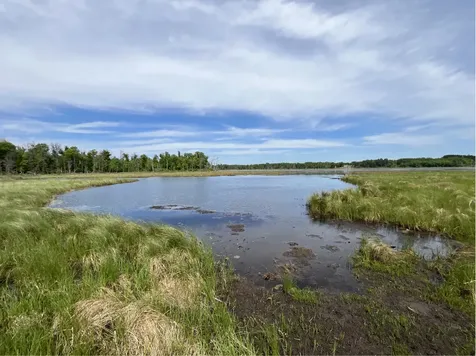 13384 Sorenson Lake Road Merrifield MN 56465