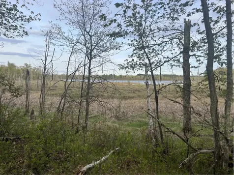 13384 Sorenson Lake Road Merrifield MN 56465