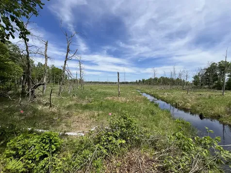 13384 Sorenson Lake Road Merrifield MN 56465