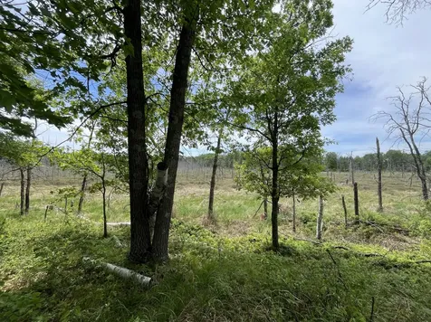 13384 Sorenson Lake Road Merrifield MN 56465