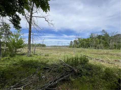 13384 Sorenson Lake Road Merrifield MN 56465