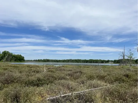 13384 Sorenson Lake Road Merrifield MN 56465