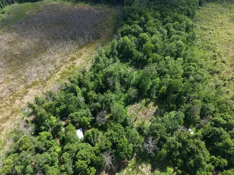 13384 Sorenson Lake Road Merrifield MN 56465