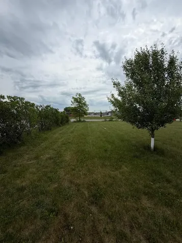 611 11th Avenue NE Kasson MN 55944