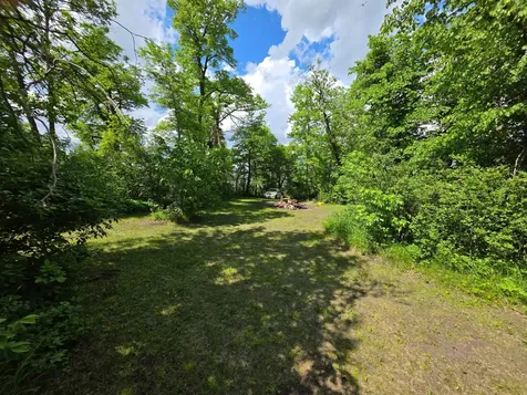 20885 Leona Beach Road Rochert MN 56578