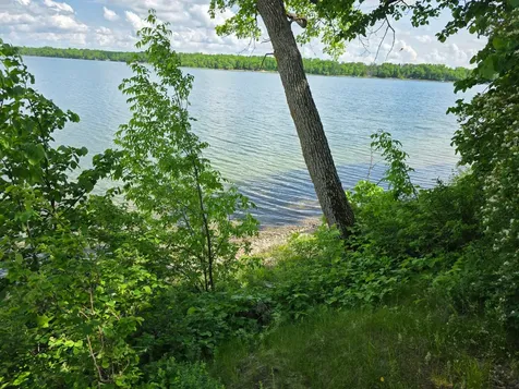 20885 Leona Beach Road Rochert MN 56578