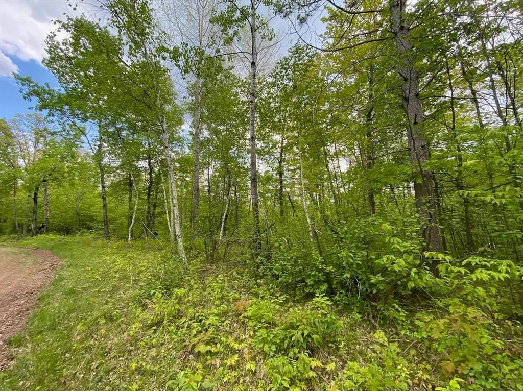 Lot 9 Hustvet Minong WI 54888