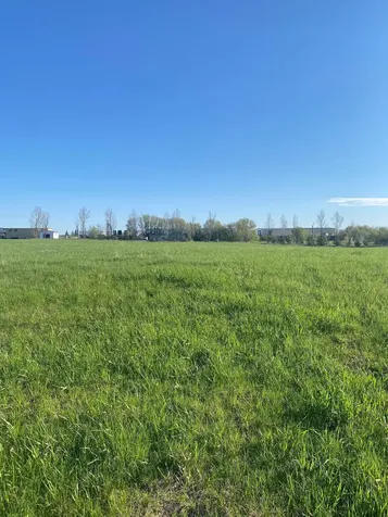 429 W Walnut Avenue Frazee MN 56544