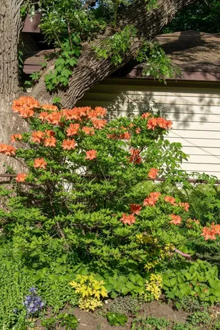 3015 E Minnehaha Parkway Minneapolis MN 55417
