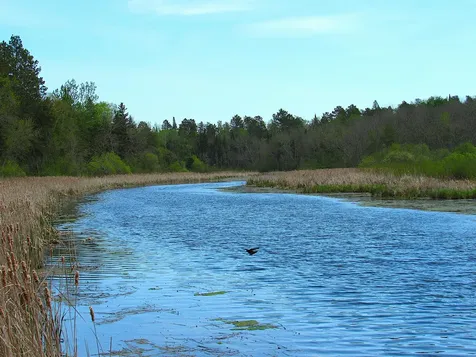 26301 Us 71 Park Rapids MN 56470